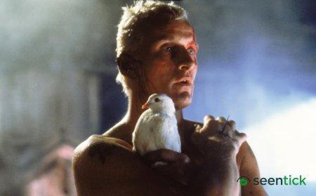 The 10 Best-Looking Movies of the 20th Century, Ranked