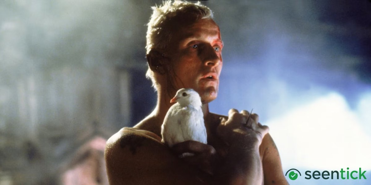 The 10 Best-Looking Movies of the 20th Century, Ranked