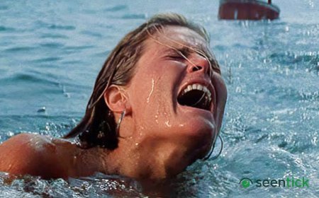 The 10 Greatest American Movies of the '70s, Ranked