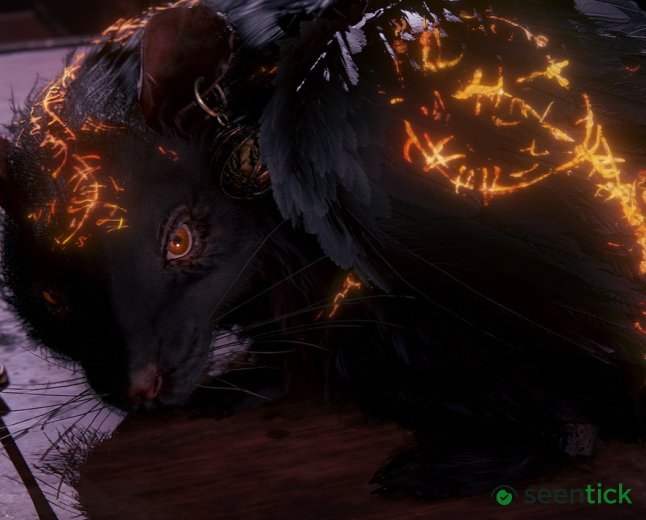 The Duskbloods devs were "definitely very happy" with the Switch 2's reveal after FromSoftware struggled to get it running on a Switch 1