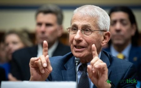 The Fauci Testimony And A Link To Oil And Gas