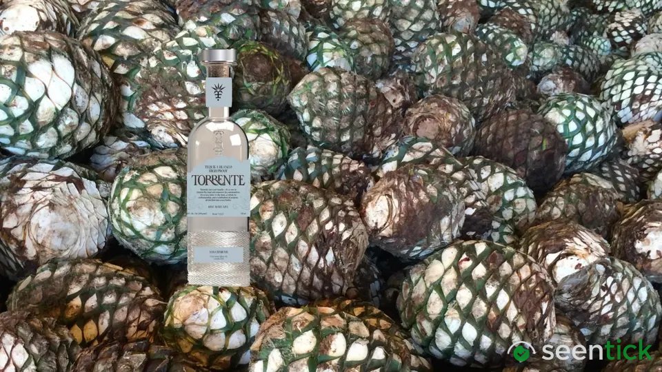 The World’s Best New Tequila-According To The 2026 San Francisco World Spirits Competition