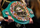 There’s A Huge Title-Unification Fight At 154 Pounds On Saturday, Here’s What You Need To Know