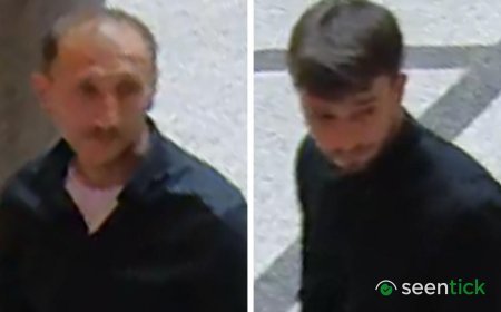 Thieves steal 600-diamond necklace from Vienna museum in broad daylight