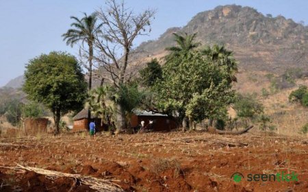 Togo charges two French journalists over incorrect documents, rights group says