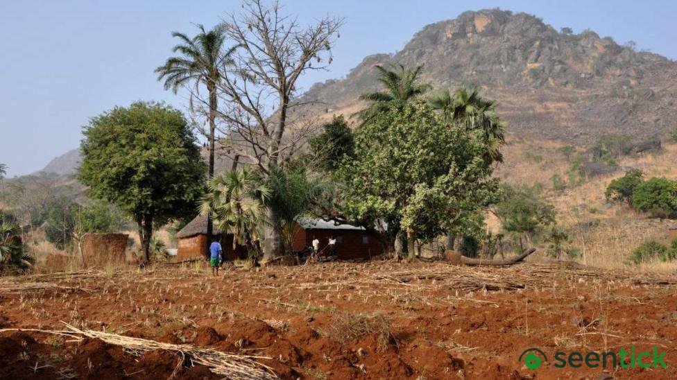 Togo charges two French journalists over incorrect documents, rights group says