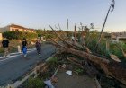 Tornado tears through French village, leaving dozens hurt and homes ravaged