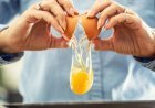 UK salmonella cases nearing 500 as egg investigations continue