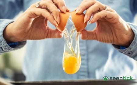 UK salmonella cases nearing 500 as egg investigations continue