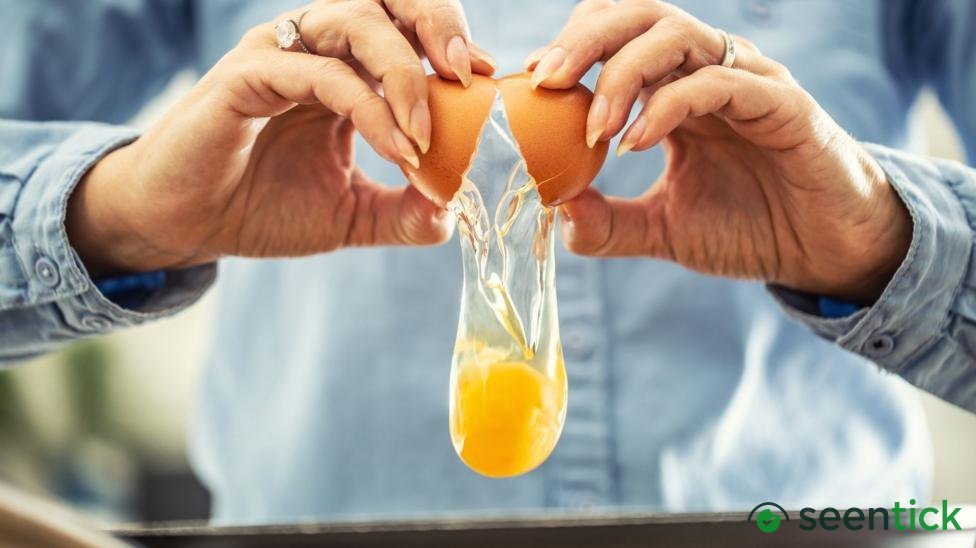 UK salmonella cases nearing 500 as egg investigations continue