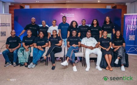 Ventures Platform goes bigger — and broader — with its second Africa fund