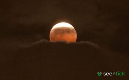 Watch: Stargazers around the world glimpse 'Blood Moon' lunar eclipse
