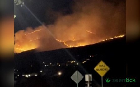 Watch: Wildfire seen near Reno as tens of thousands told to evacuate