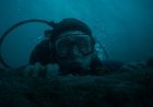 Whalefall trailer: Austin Abrams is a modern-day Jonah trapped inside a massive whale in this gritty survival thriller
