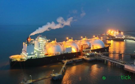 Woodside Energy Profit Up As Control Speculation Grows