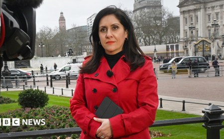 BBC News Anchor Maryam Moshiri Opens Up About Her Blood Cancer Diagnosis