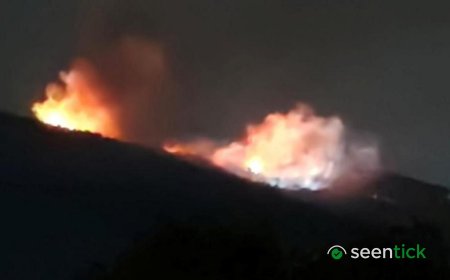 Bulgaria investigates fire at weapons  site that owner calls sabotage