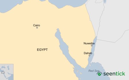 Bus crash on Egypt's Red Sea coast kills 16