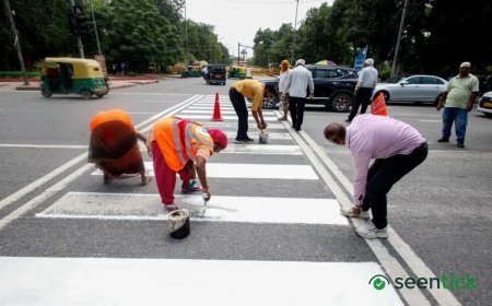 Capital makeover for BRICS Summit: Floral displays, food festivals, performan