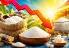 Cheeni Kum? Imported sugar is yet to land, so why is it getting cheaper