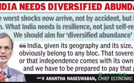 'Crude prices have risen 30% in a month': CEA warns India exposed to multiple shocks