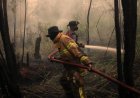 Developing El Niño becomes strongest on record weeks before expected peak