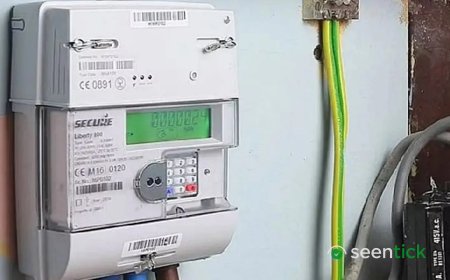 Domestic chip mandate for smart meters by mid-2028: Power Secretary Pankaj Agarwal
