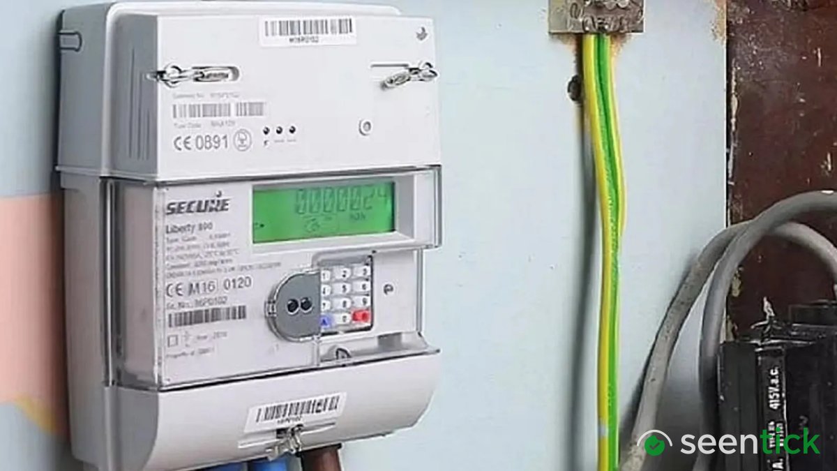 Domestic chip mandate for smart meters by mid-2028: Power Secretary Pankaj Agarwal