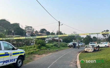 Eleven killed in mass shooting at house in South Africa