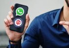EPFO launches WhatsApp channel for PF updates; here’s how to join