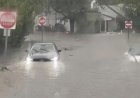 Flash flooding interrupts half-marathon, submerges cars