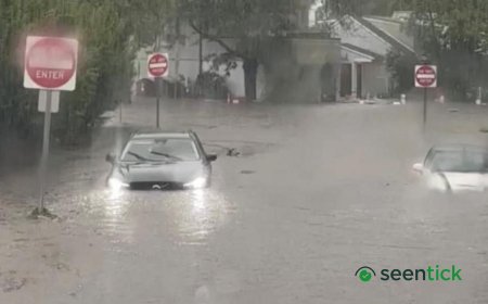 Flash flooding interrupts half-marathon, submerges cars