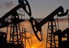 Geopolitical developments, oil prices to steer markets this week