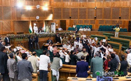 ‘Gundagardi nahi chalegi’: Noisy scenes mar first day of autumn session of J&K Assembly