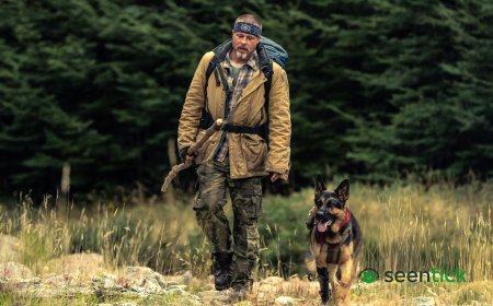 Heart of the Beast review: Brad Pitt's flawless, moving survival thriller will make you want to hug your dog, or get one