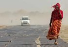 India could see nearly 16,000 more heat deaths in next 6 months: Report