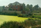 Inside Kashmir's land scam: How one plot is sold over and over again
