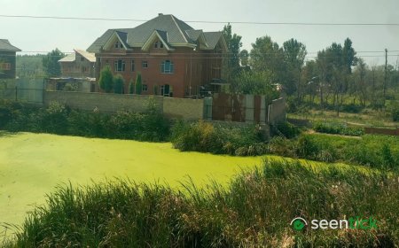 Inside Kashmir's land scam: How one plot is sold over and over again