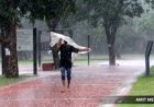 Maharashtra crisis about large regional variation in rainfall; Marathwada, Solapur worst hit