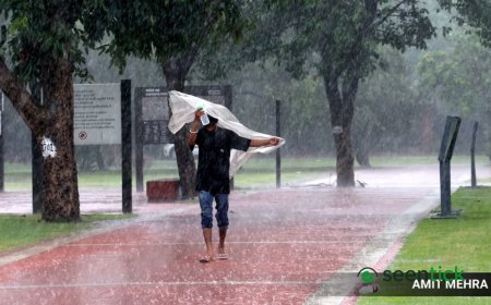 Maharashtra crisis about large regional variation in rainfall; Marathwada, Solapur worst hit