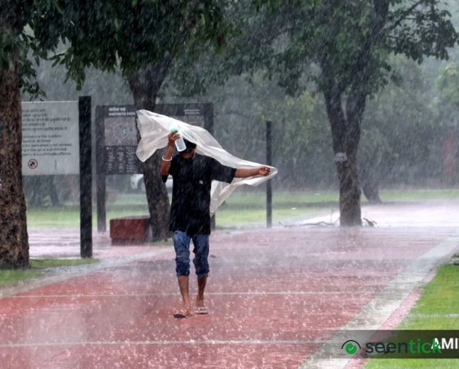 Maharashtra crisis about large regional variation in rainfall; Marathwada, Solapur worst hit