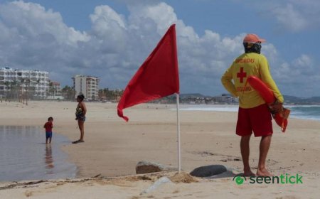 Mexico's Pacific coast braces for Hurricane Polo