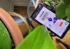 Mint Mobile’s best deal ends next week — claim up to a year of unlimited wireless for $15 per month (while you still can)