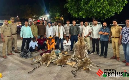 MP High Court withdraws protection from Wildlife SOS chief in Leopard poaching