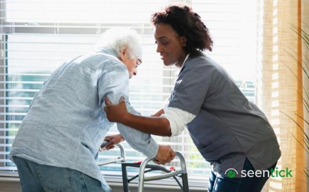 New NHS-style social care system could take decades, Dilnot says