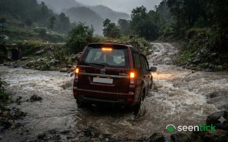 Odisha family set out on pilgrimage before daughter’s engagement. They got swept away