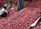Onion price hike: Centre expands Rs 35/kg sale to 19 cities amid supply concerns