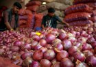 Centre\'s Onion Reserve Sale Brings Relief to Consumers, but National Average Remains High