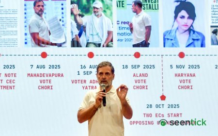 Piecemeal steps won't work, Rahul Gandhi doubts stand vindicated: Congress