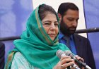 Protest by medical interns continues in Kashmir, Mehbooba says ‘deeply painful’